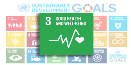 Rise4SDgs Goal 3, Heatlh and Well-Being, Panel Discussion by international educators